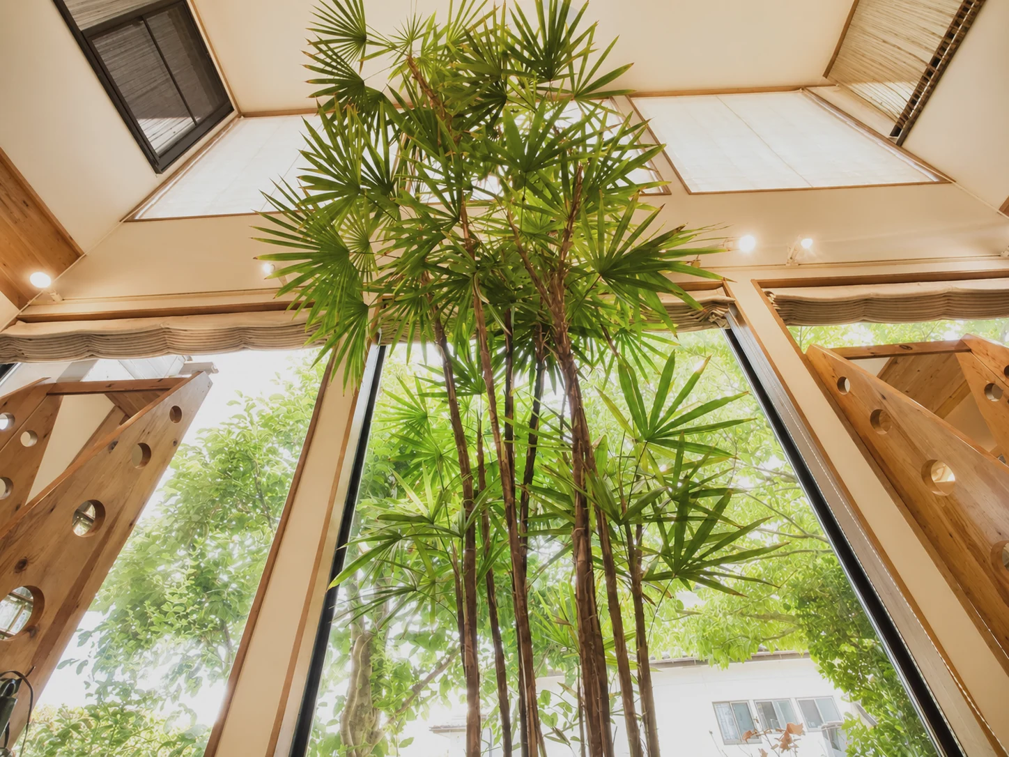 吹き抜けまで伸びる店内の大きな観葉植物